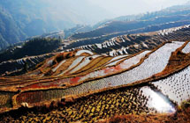 Picturesque Jiabang terrace field in winter