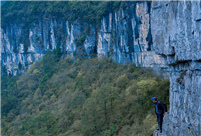 Villagers pick cubiloses on cliff in Sichuan