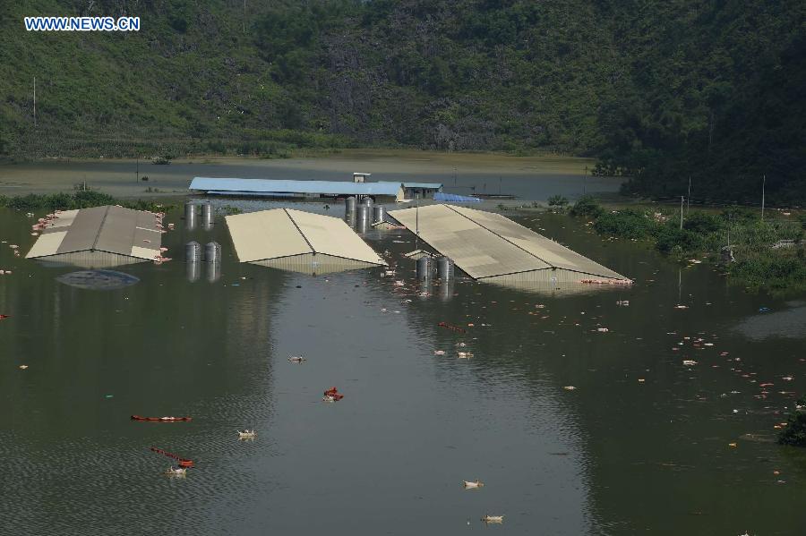 16,000 pigs drowned in SW China rainstorm