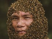 Legendary life of a bee-keeping master in Hainan