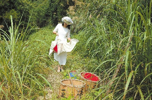 Beauty seeks honey in mountain 