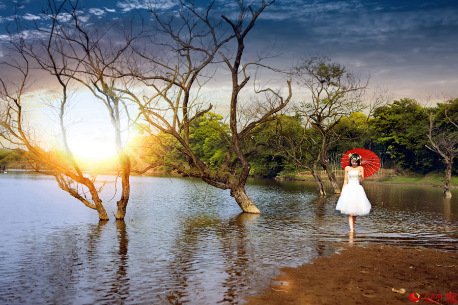 Picturesque Mazhou Forest in Jiangxi