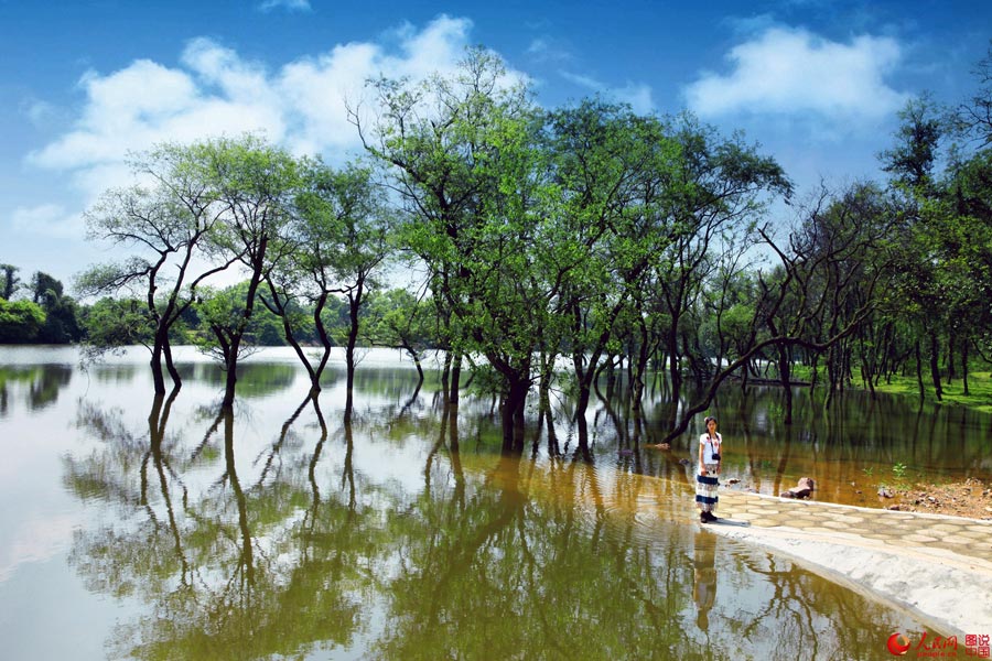 Picturesque Mazhou Forest in Jiangxi