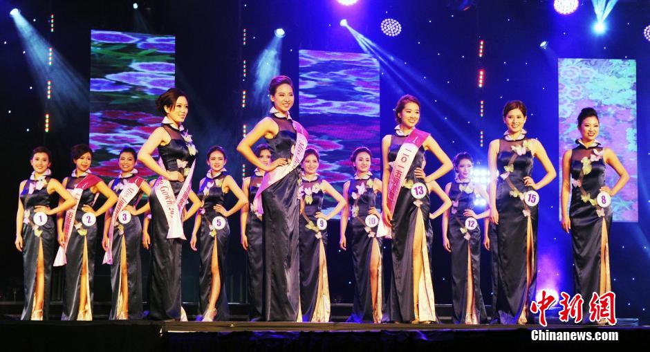 Miss Chinese American 2015 pageant concludes 