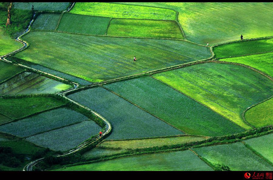 Natural scenery of Wugong Mountain