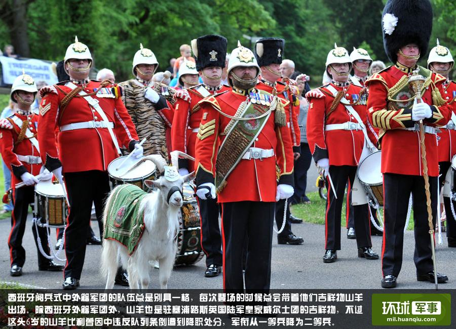 Stunning skills in military parade