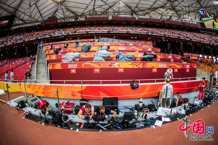 Bird's nest through 'fish-eye lens' 