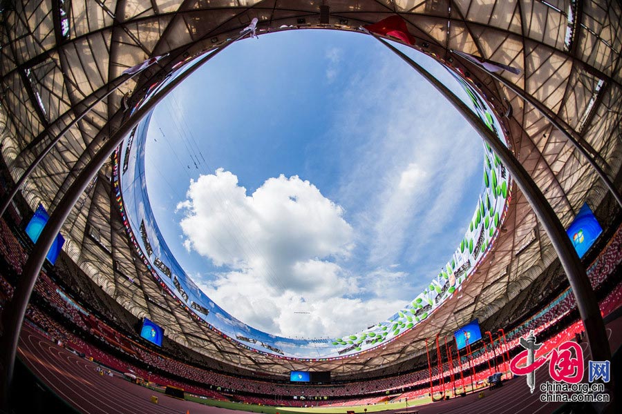 Bird's nest through 'fish-eye lens' 