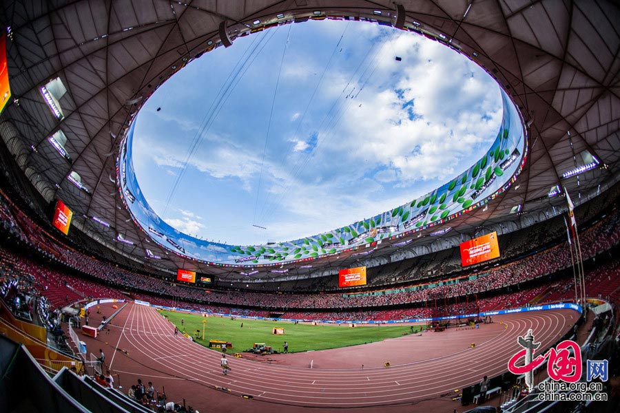 Bird's nest through 'fish-eye lens' 