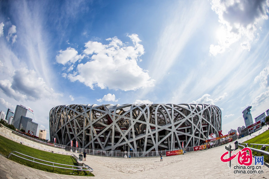 Bird's nest through 'fish-eye lens' 