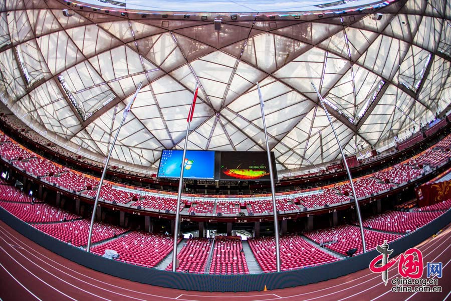 Bird's nest through 'fish-eye lens' 