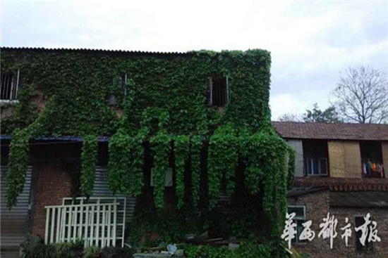 Ivy-covered house witnesses love of 23 years