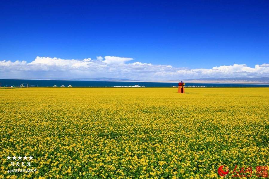 Splendid sceneries in China you should never miss for the summer