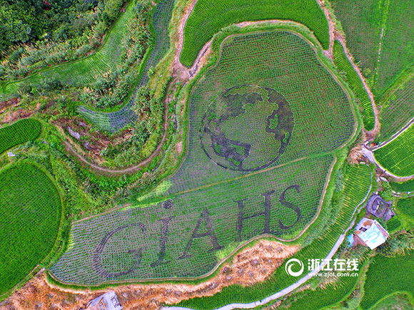 Intoxicating aerial photos of terrace field