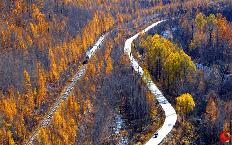 Autumn scenery of the coldest town in the Greater Khingan Mountains