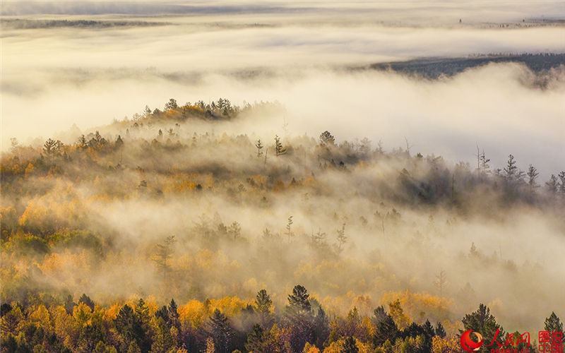 Autumn scenery of the coldest town in the Greater Khingan Mountains