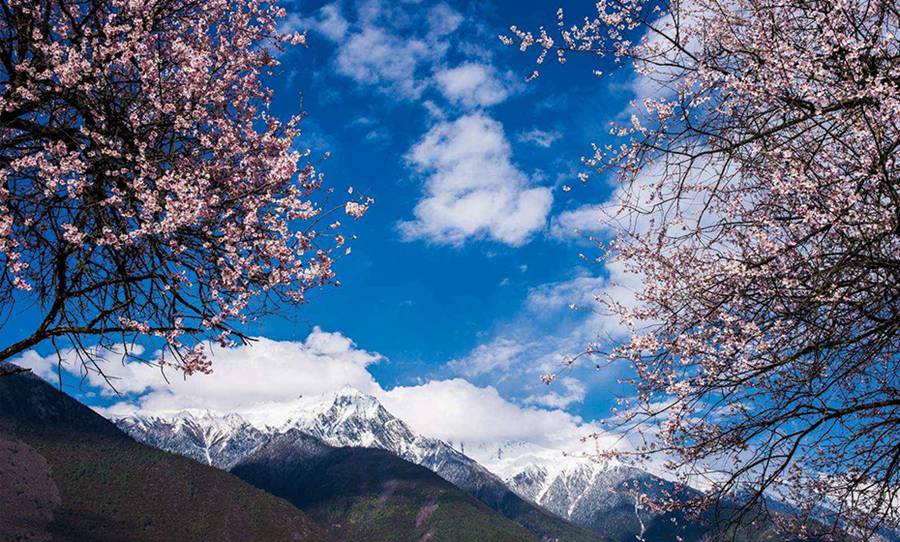 The sacred beauty of Tibet