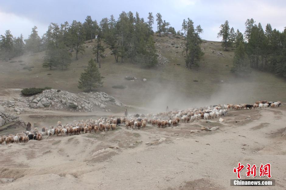 Spectacular migration of herdsmen in Xinjiang