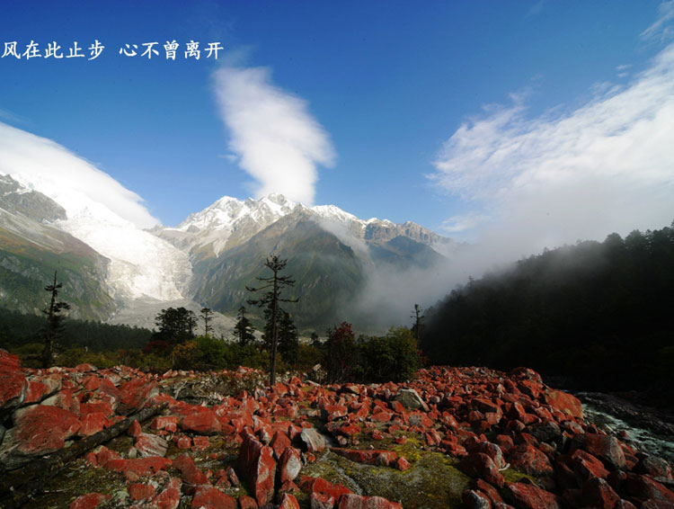 Walking in picturesque Conch Gully in autumn