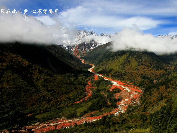 Walking in picturesque Conch Gully in autumn