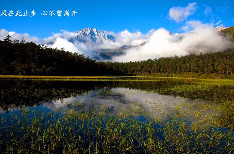 Walking in picturesque Conch Gully in autumn