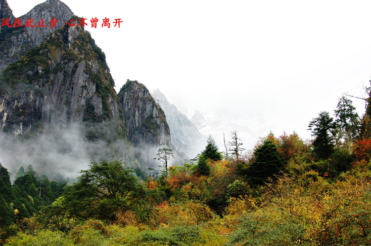 Walking in picturesque Conch Gully in autumn