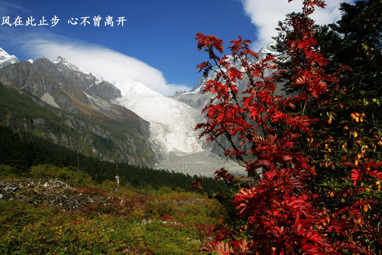 Walking in picturesque Conch Gully in autumn