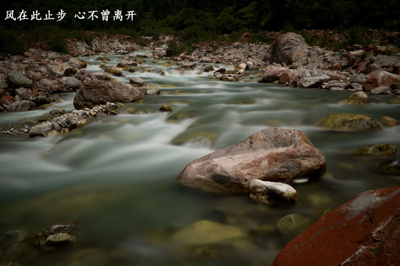 Walking in picturesque Conch Gully in autumn