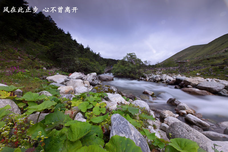 Walking in picturesque Conch Gully in autumn