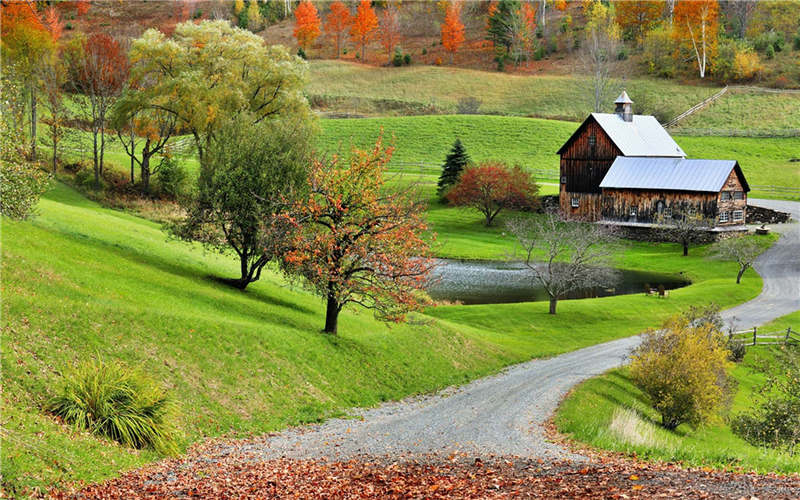 Bright-colored autumns around the world