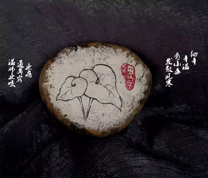 Doctor draws traditional Chinese medicines on stones