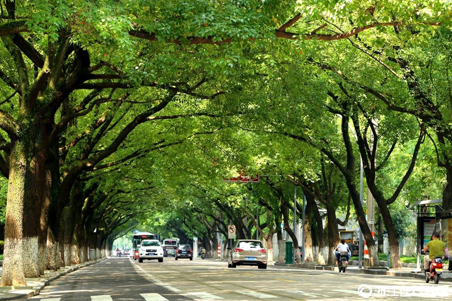 Beautiful road in E China