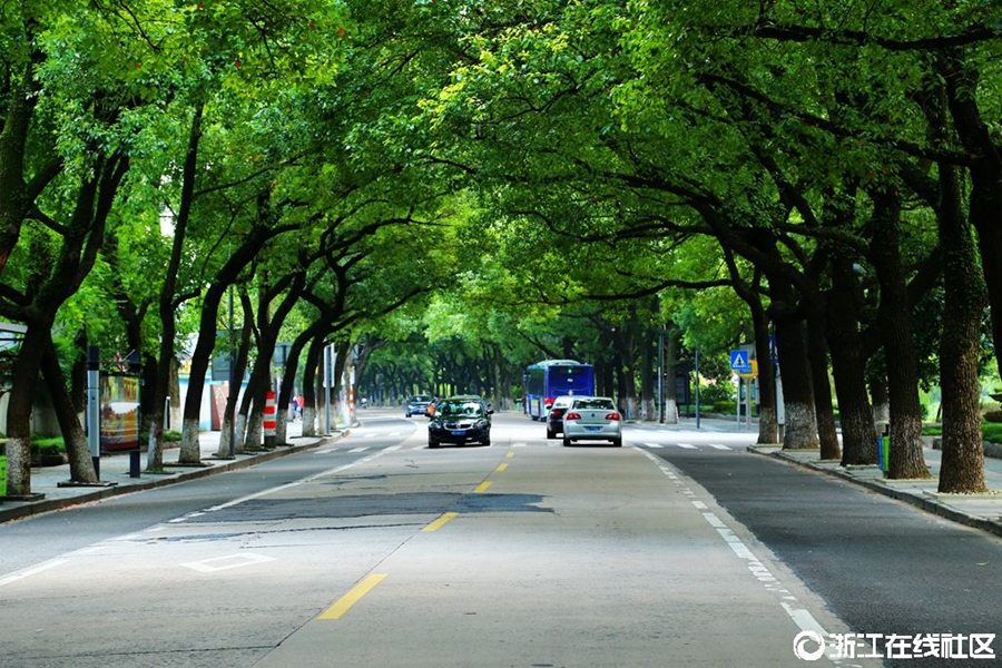 Beautiful road in E China