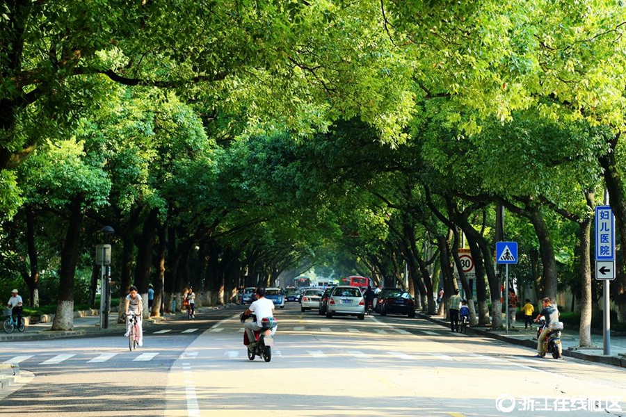 Beautiful road in E China