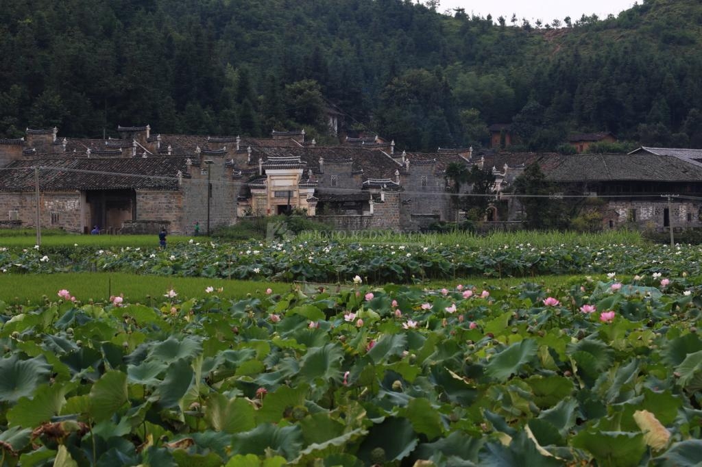 Donglong village, a thousand-year-old village in E China 