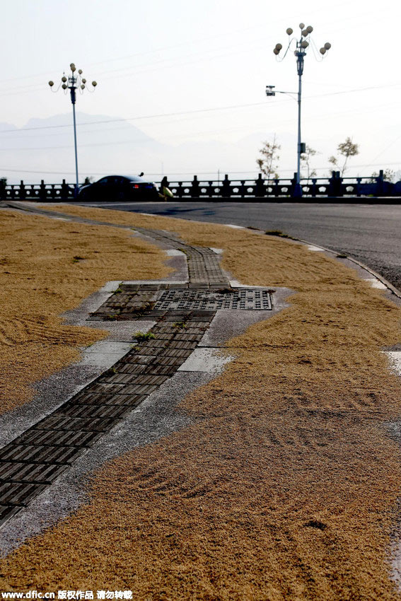 Farmers dry paddy on highway in World Heritage Site Hong Village