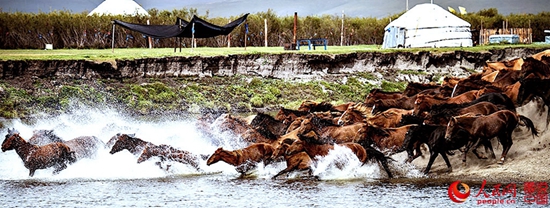 Picturesque scenery of Hulun Buir grassland