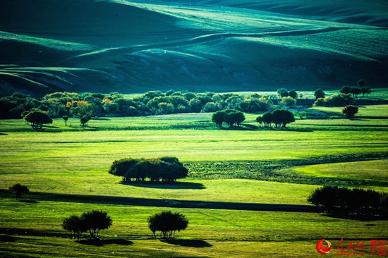 Picturesque scenery of Hulun Buir grassland