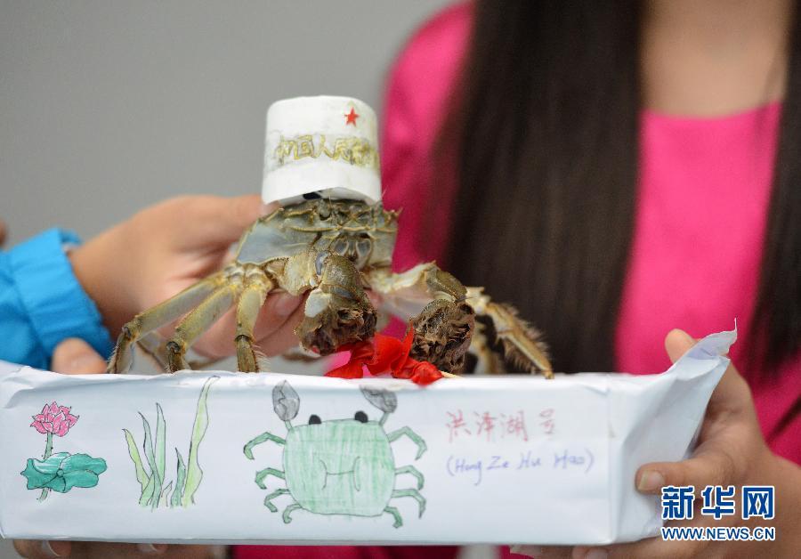 Crab models to celebrate the harvest