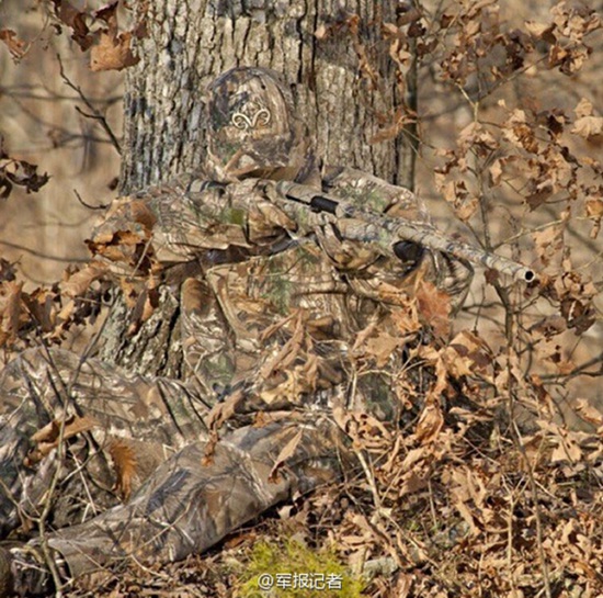 Stunning camouflage challenges your eyes