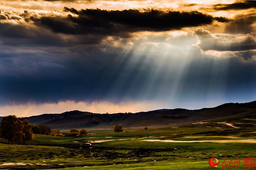 Picturesque scenery makes Bashang Grassland worth revisiting