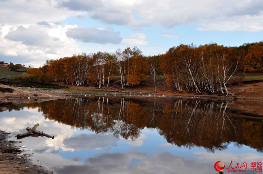 Picturesque scenery makes Bashang Grassland worth revisiting