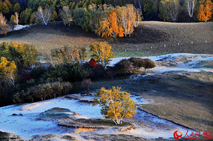 Picturesque scenery makes Bashang Grassland worth revisiting