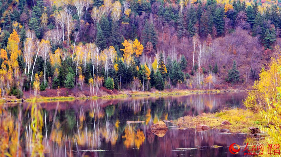 Colorful autumn scenery of Wuhua Mountain