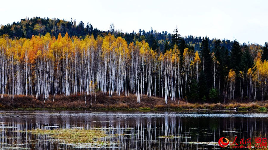 Colorful autumn scenery of Wuhua Mountain