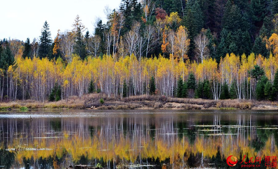 Colorful autumn scenery of Wuhua Mountain