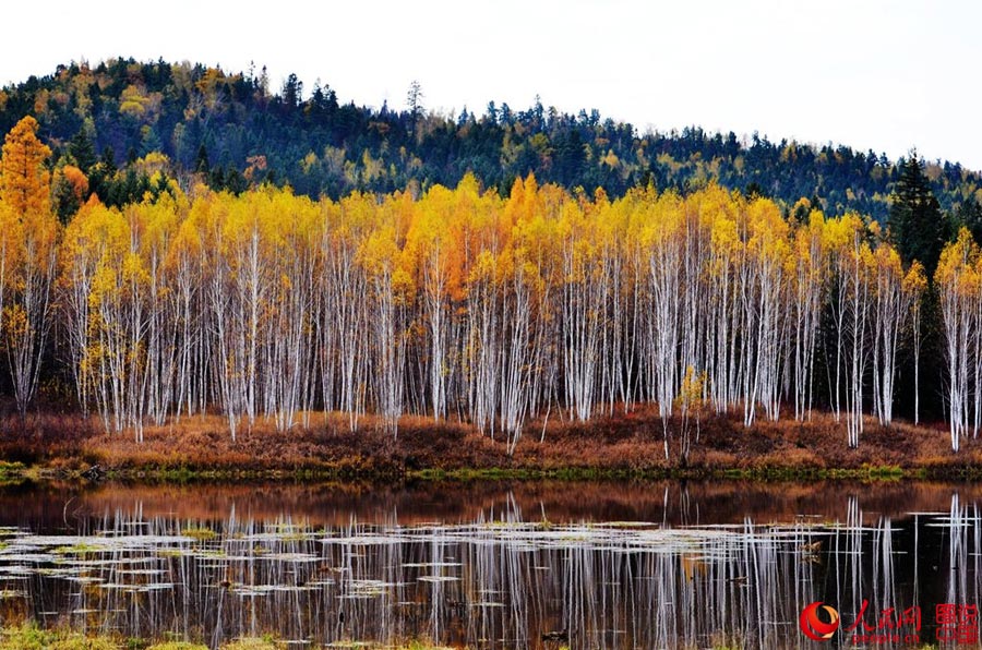 Colorful autumn scenery of Wuhua Mountain