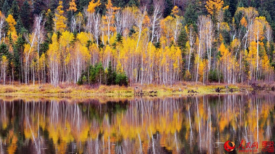 Colorful autumn scenery of Wuhua Mountain