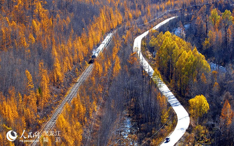 Golden autumn in China