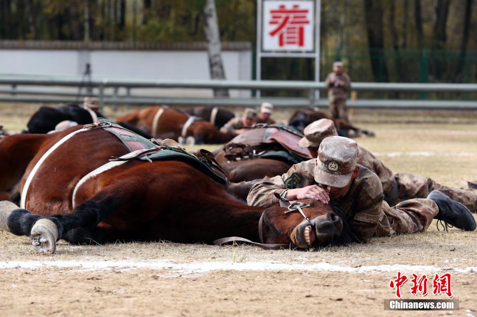 Best photos from Oct. 8 to 14